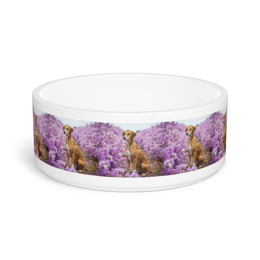 Banjara Hound Pet Bowl