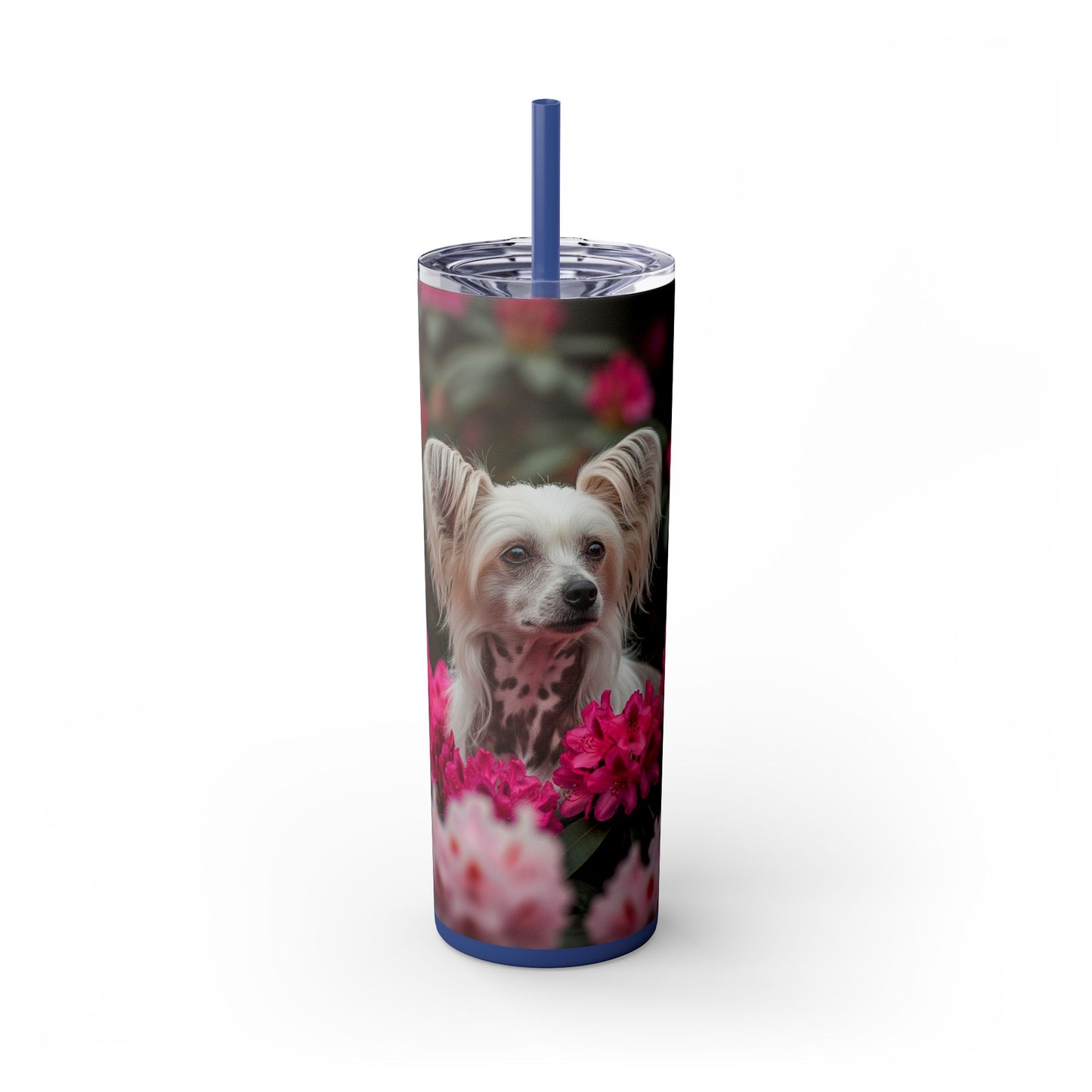 Skinny Tumbler with Straw – 20 oz Stainless Steel Cup