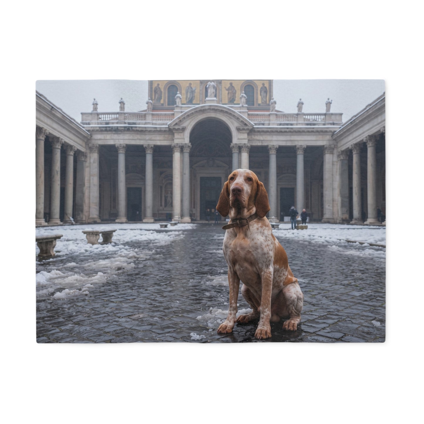 Bracco Italiano Blanket