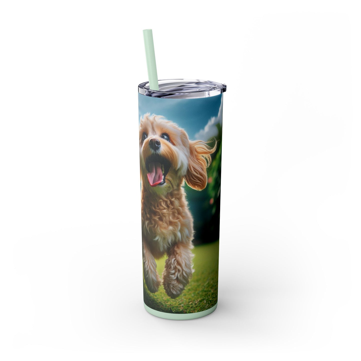 Skinny Tumbler with Straw – 20 oz Stainless Steel Cup
