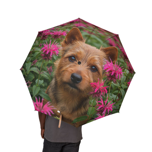 Norwich Terrier Semi-Automatic Foldable Umbrella