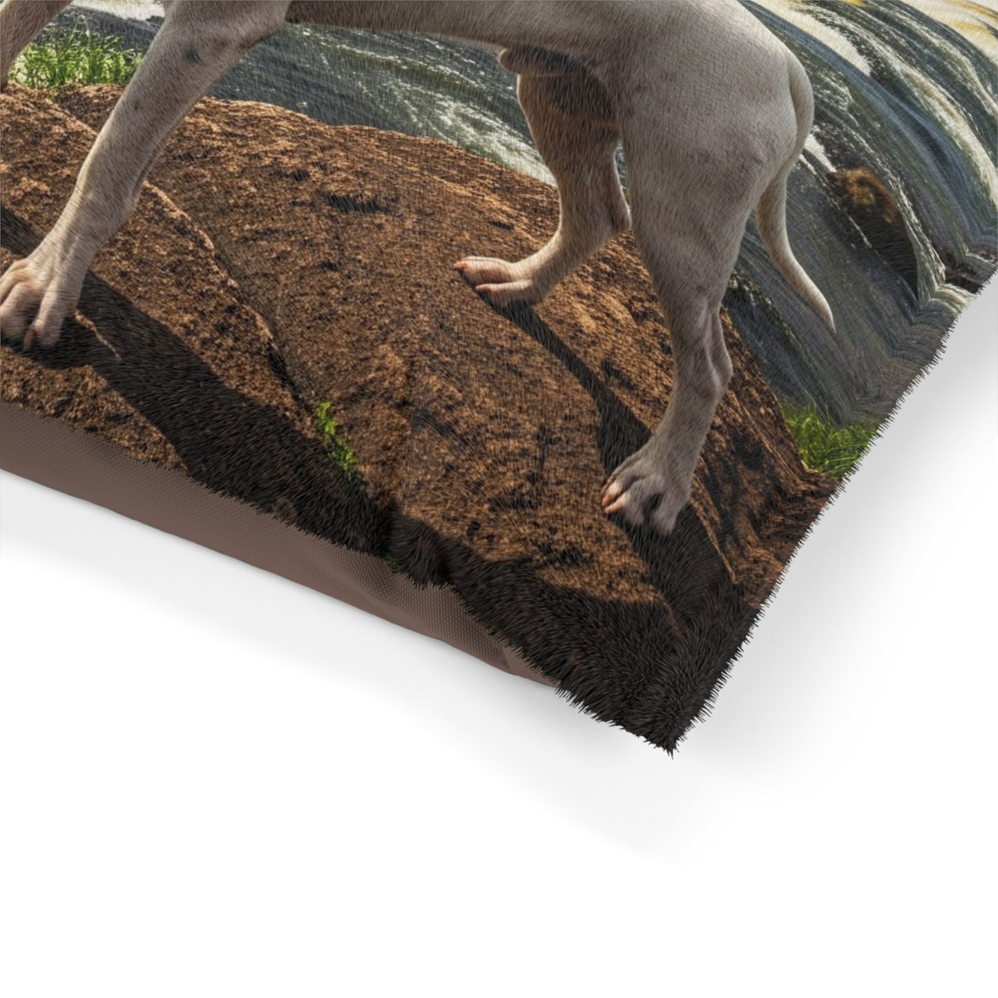 Dogo Argentino Pet Bed