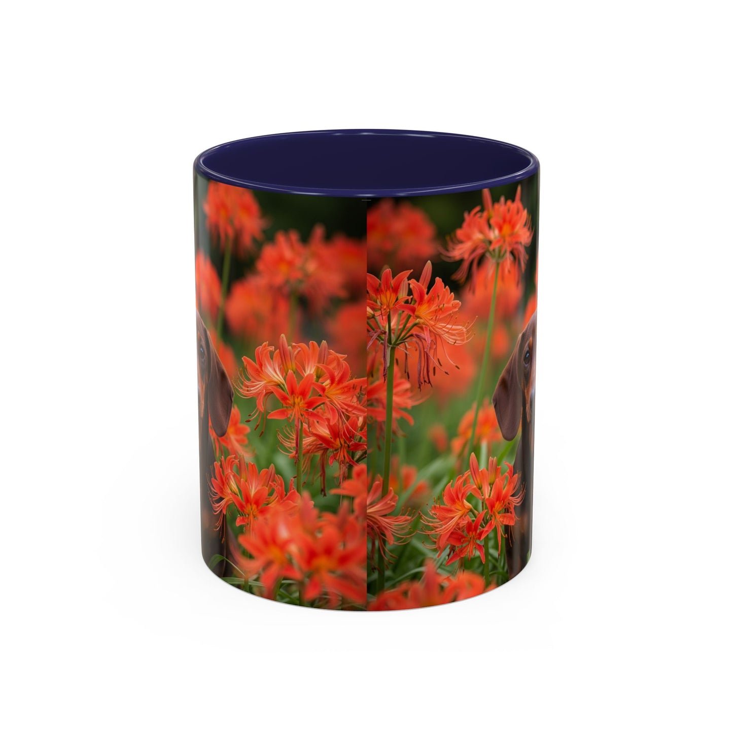 Dachshund Accent Coffee Mug - Perfect Gift for Dog Lovers