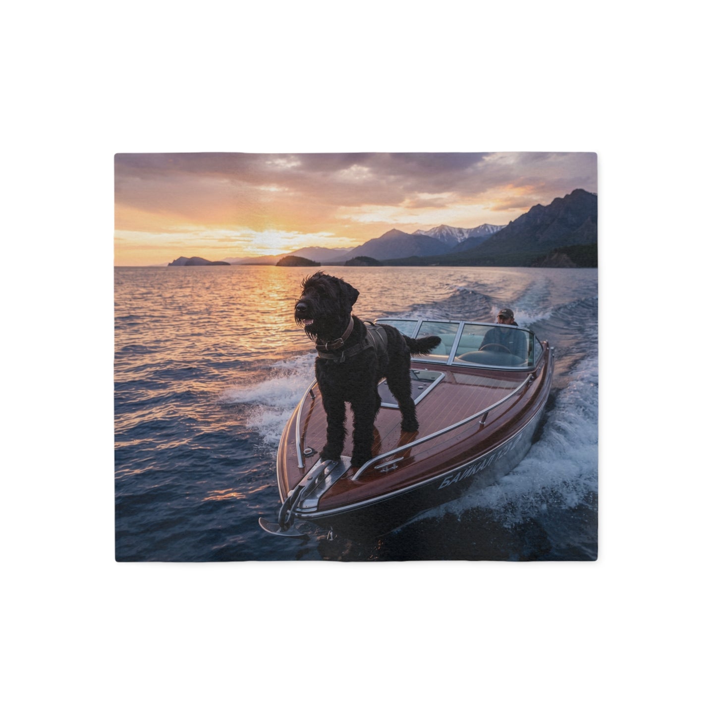 Black Russian Terrier Blanket