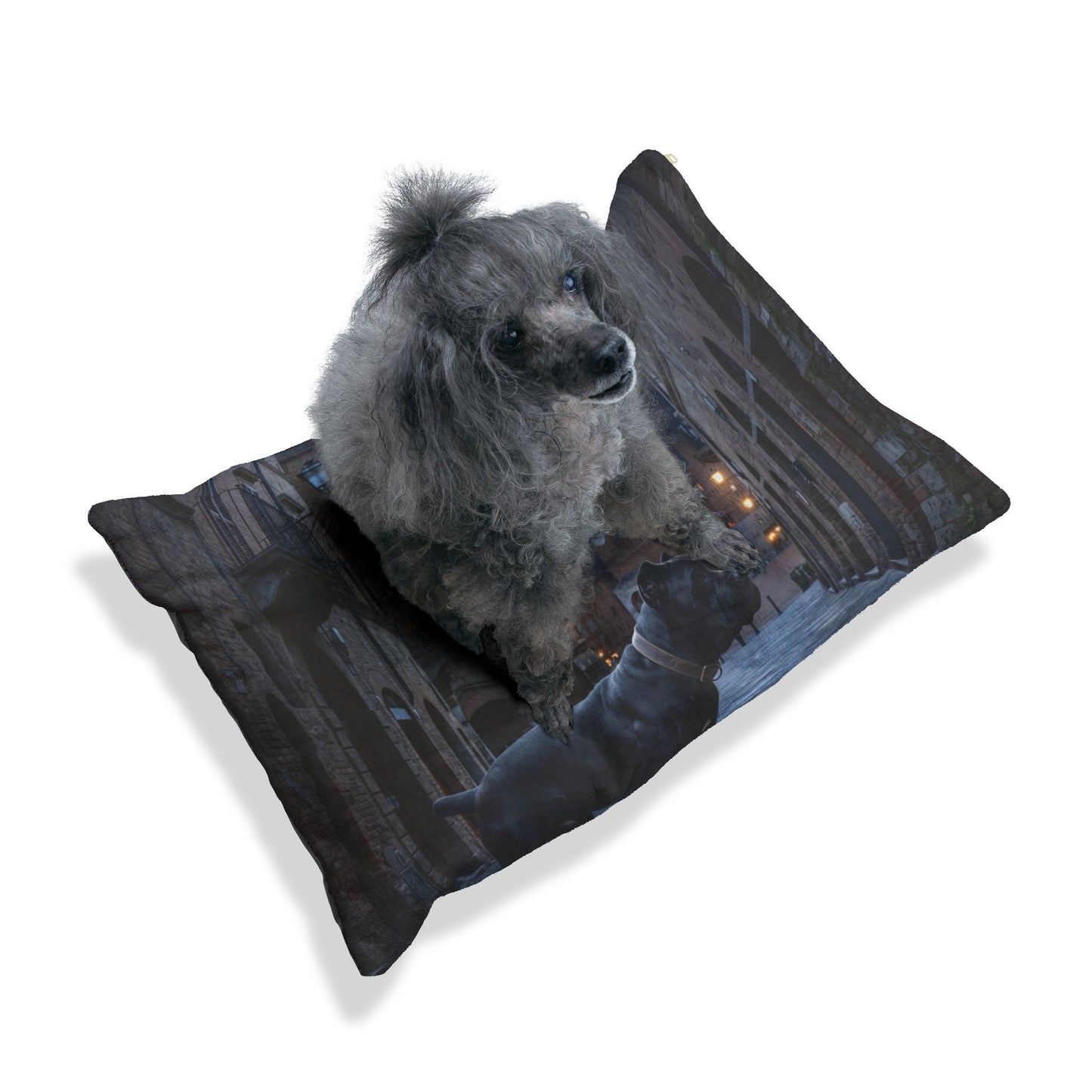 Cane Corso Pet Bed