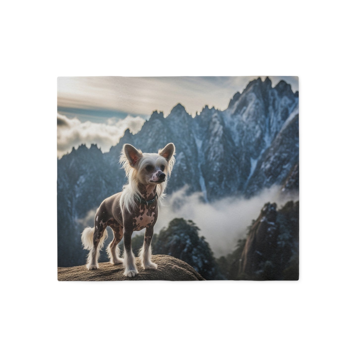 Chinese Crested Dog Blanket
