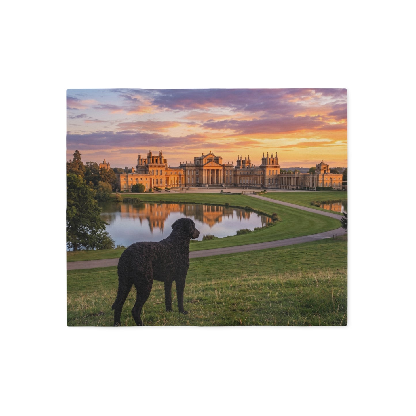 Curly Coated Retriever Blanket