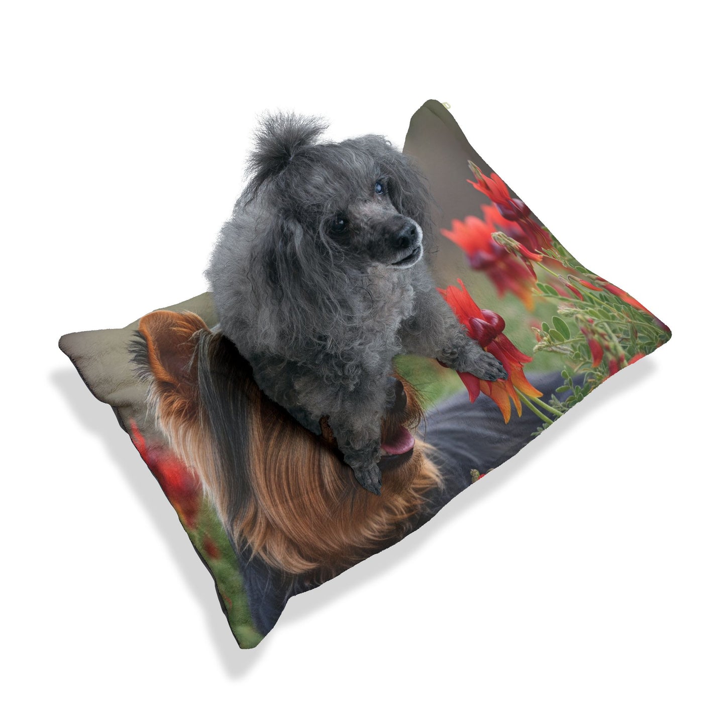 Silky Terrier Pet Bed
