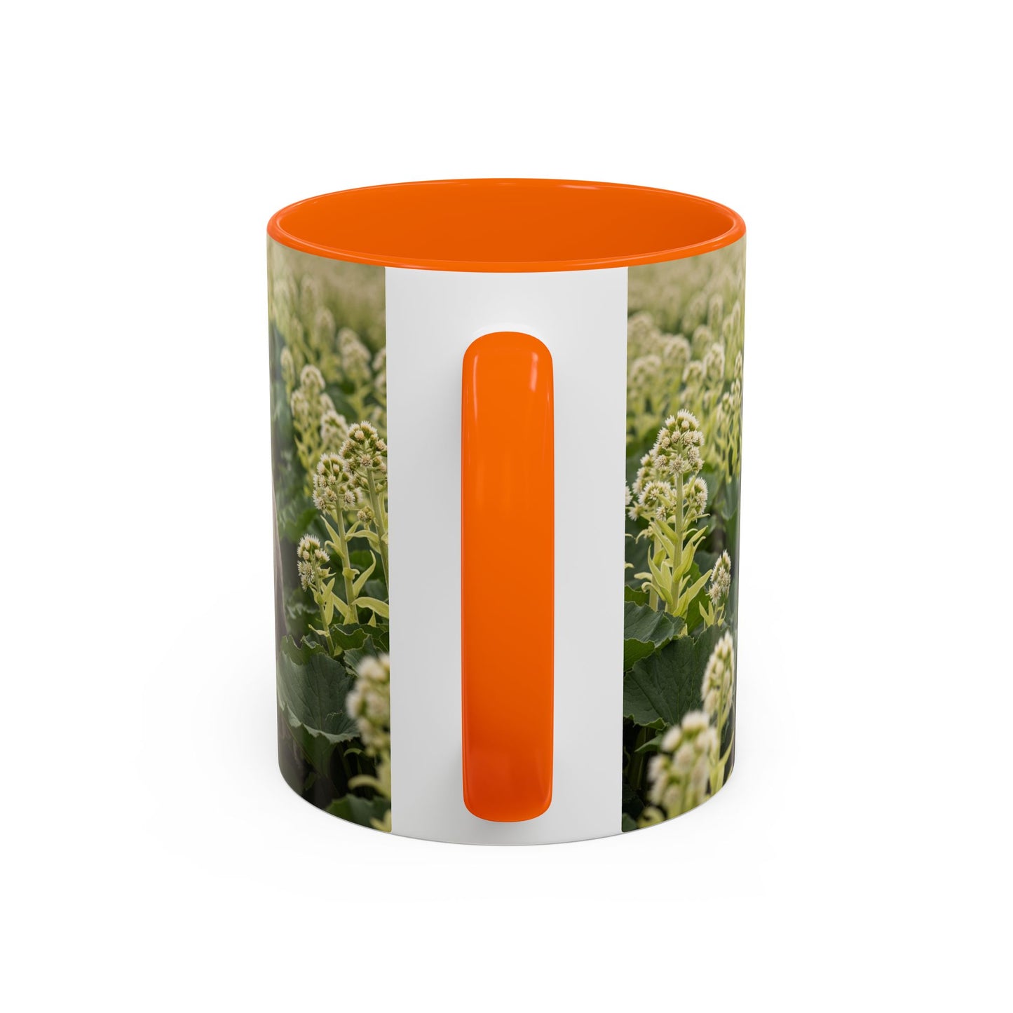 Mug à café avec motif Schnauzer standard - Cadeau idéal pour les amoureux des chiens