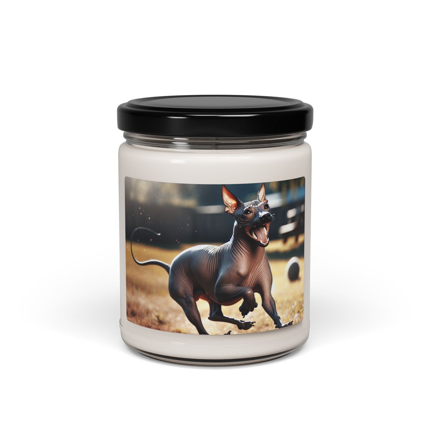 American Hairless Terrier- Scented Soy Candle, 9oz