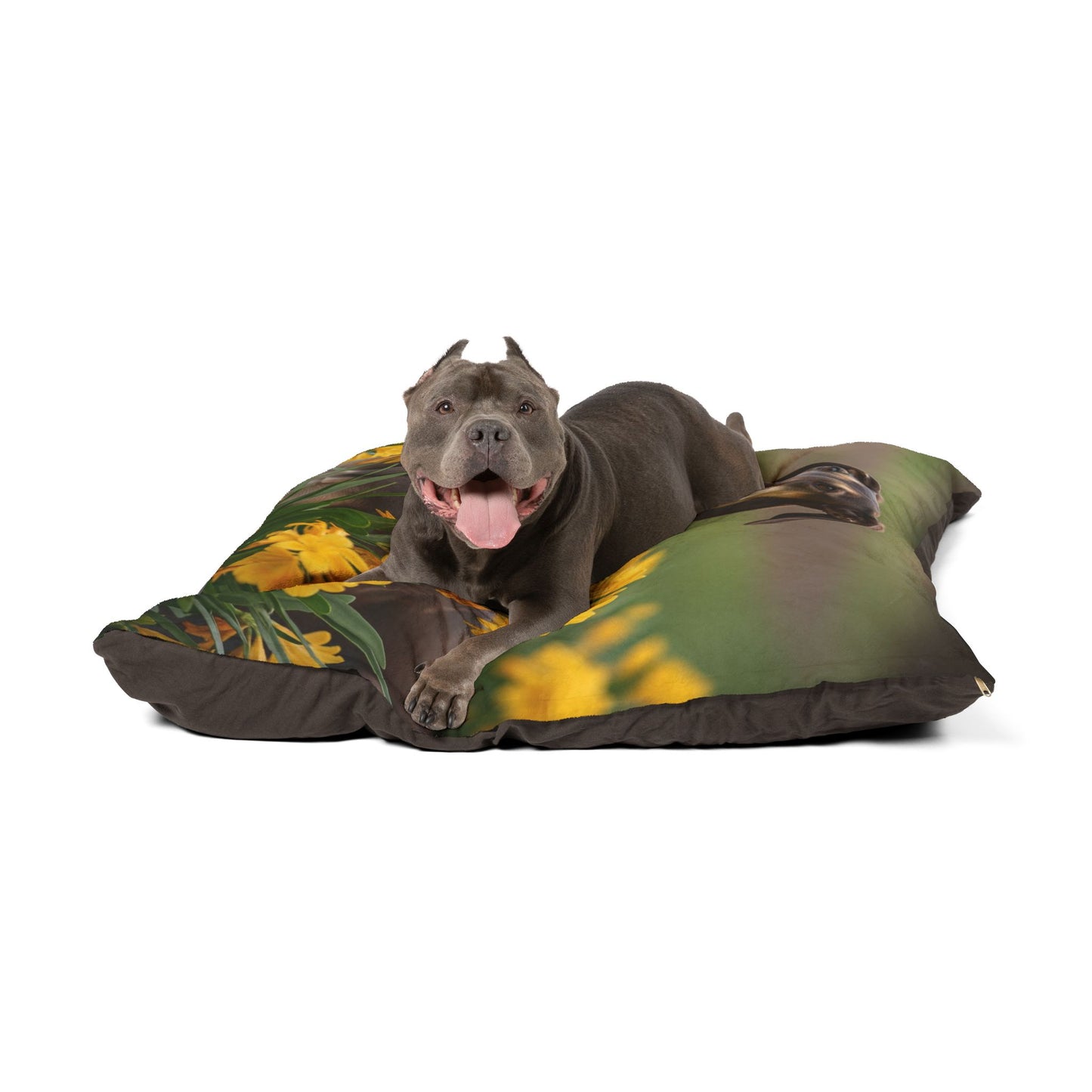 Sloughi Pet Bed