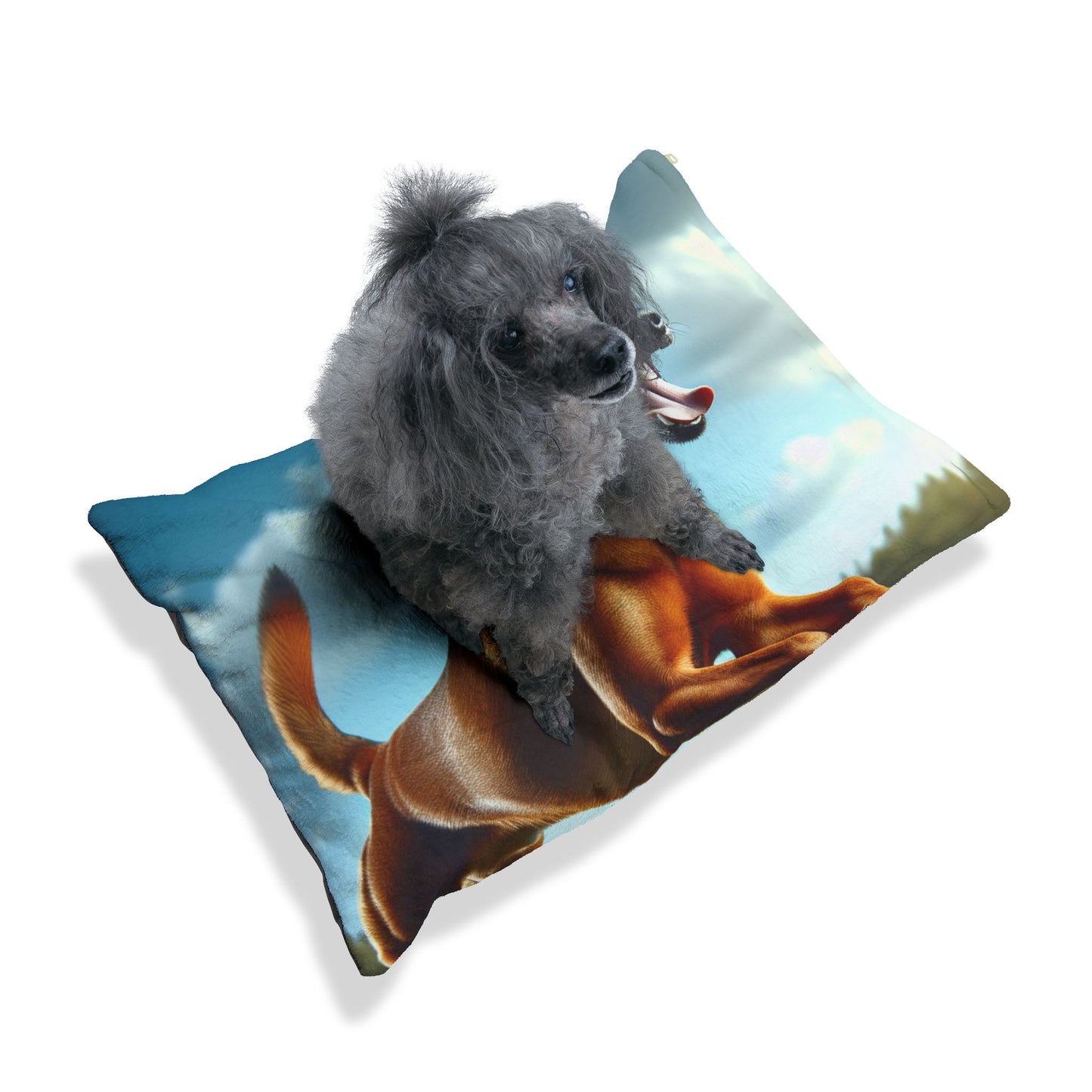 Kanni Pet Bed