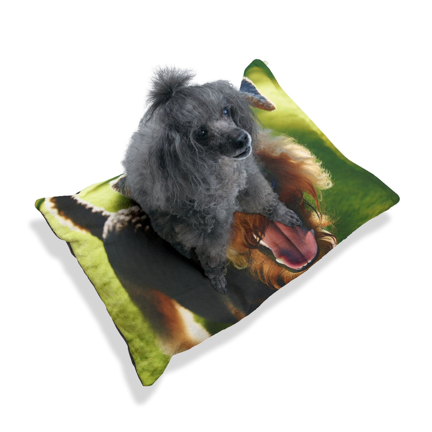 Airedale Terrier Pet Bed