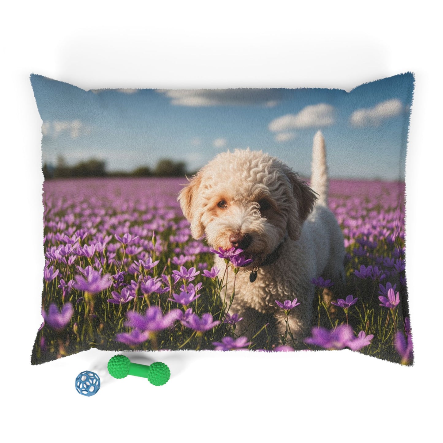 Lagotto Romagnolo Pet Bed