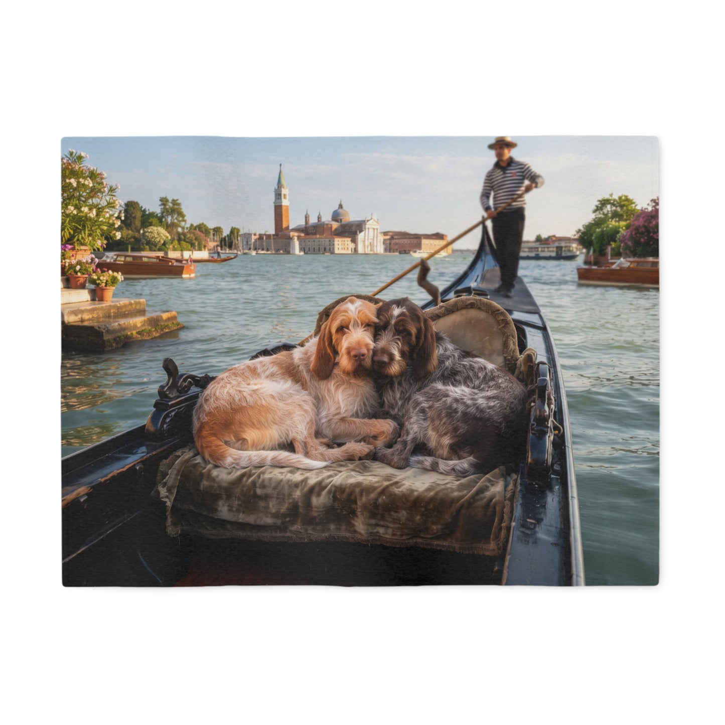 Spinone Italiano Blanket