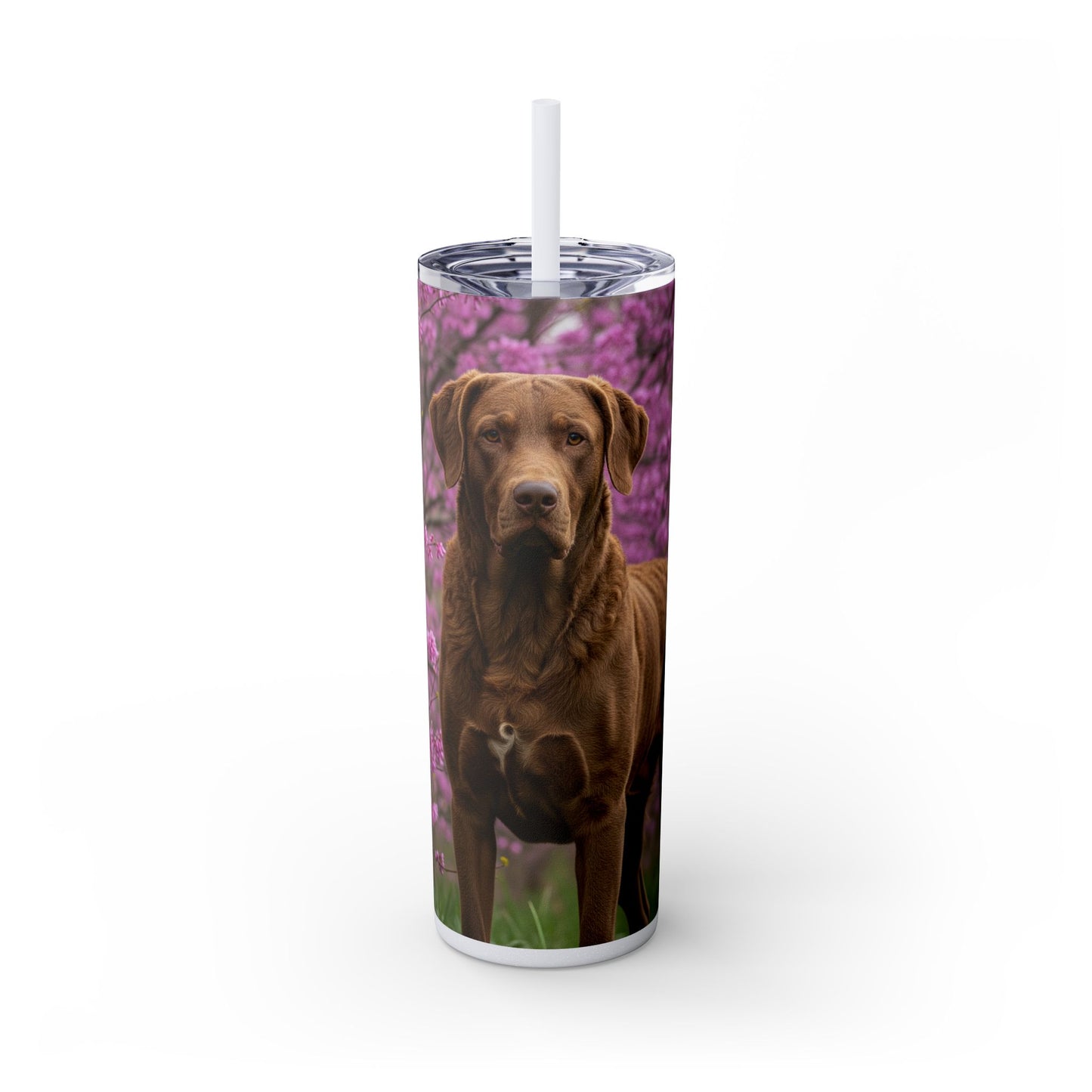 Gobelet isotherme Chesapeake Bay Retriever avec paille, 590 ml