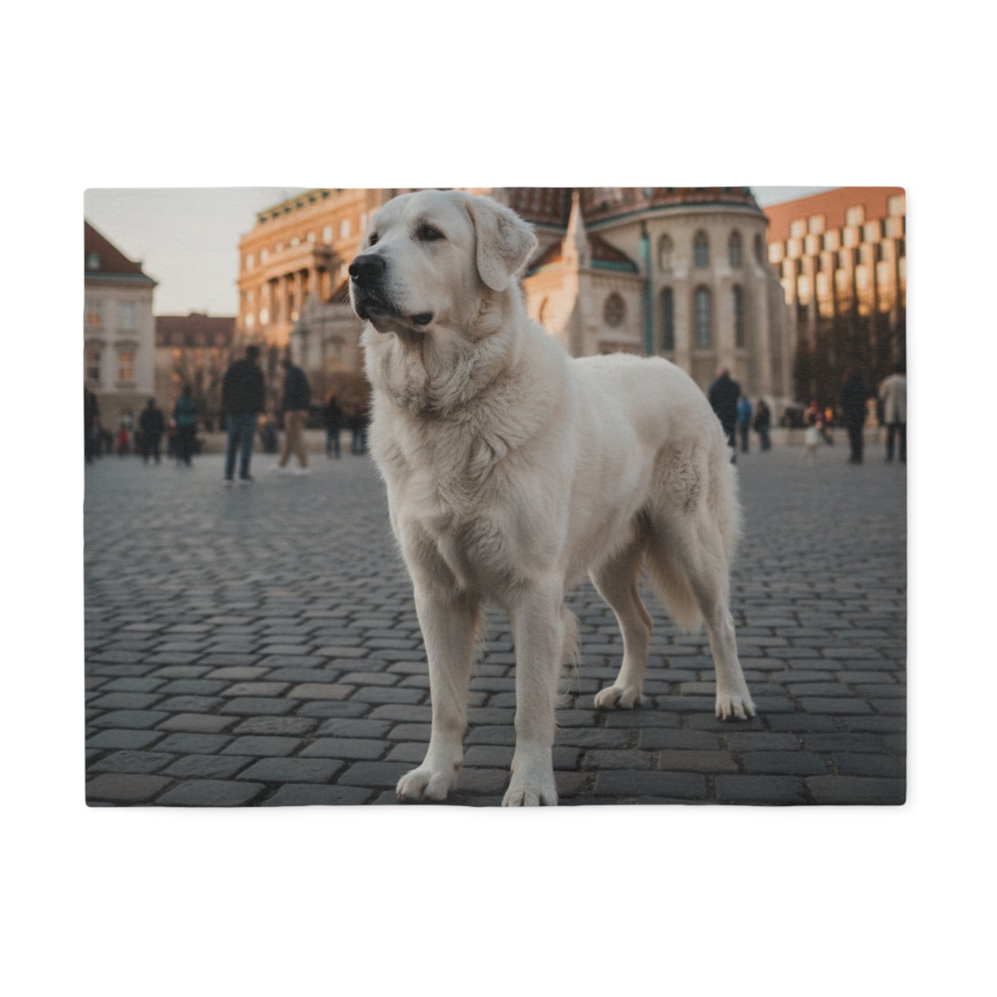 Hungarian Kuvasz Blanket