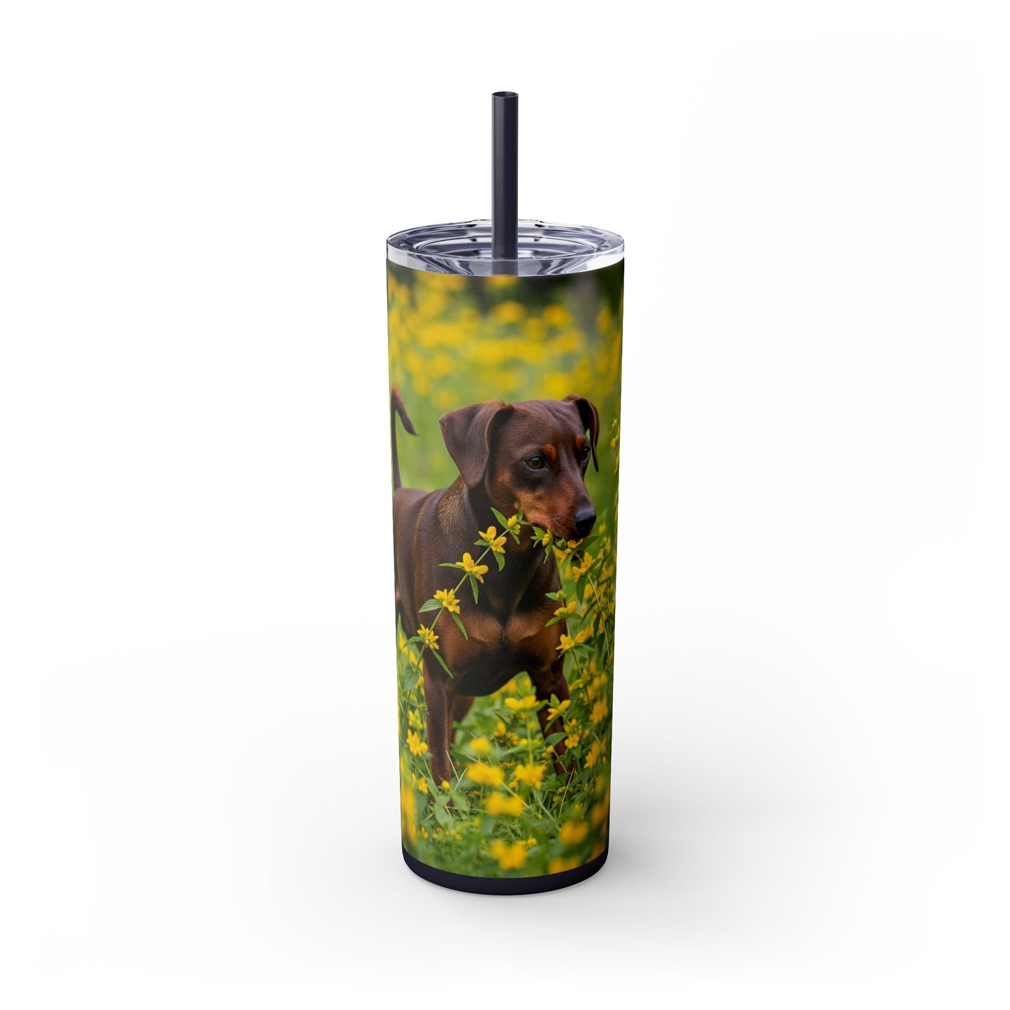 German Pinscher Tumbler with Straw, 20oz
