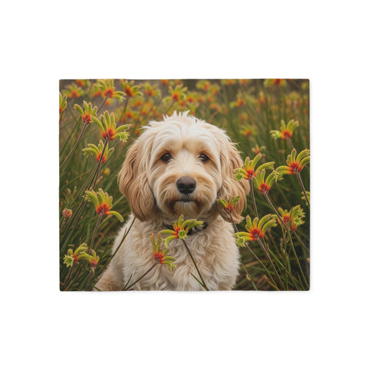 Cavoodle Sweatshirt Blanket