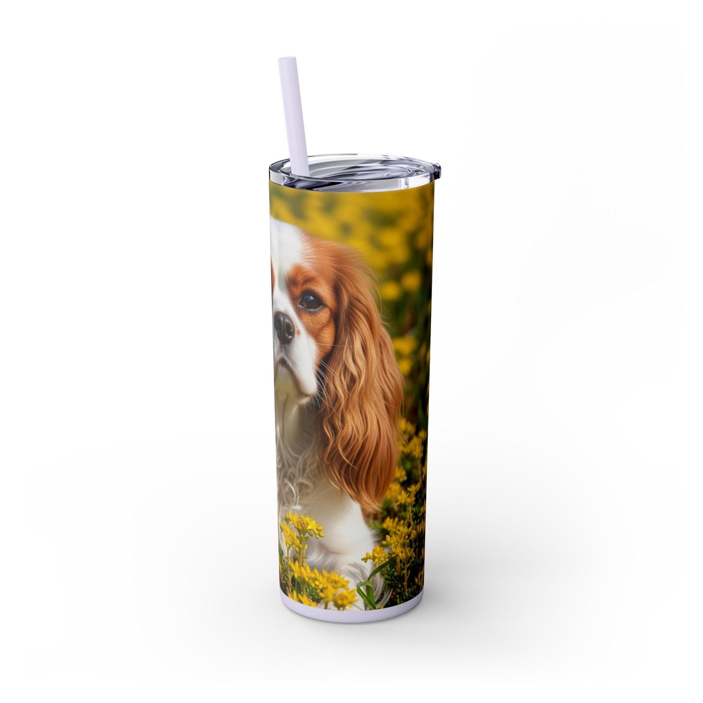 Skinny Tumbler with Straw – 20 oz Stainless Steel Cup
