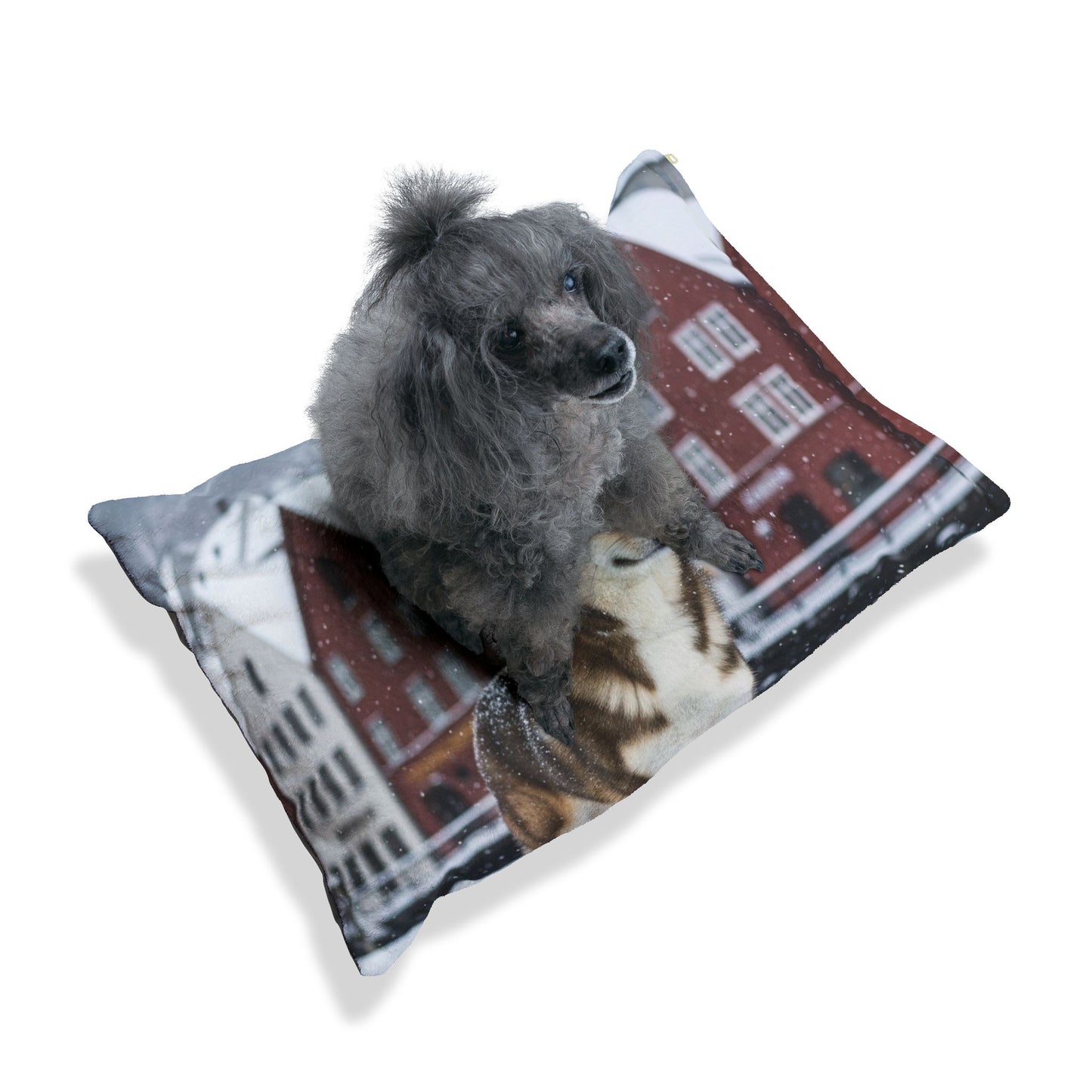 Norwegian Lundehund Pet Bed