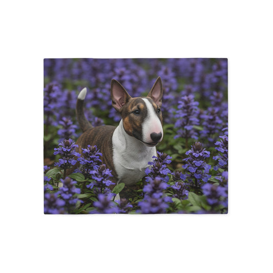 Miniature Bull Terrier Sweatshirt Blanket