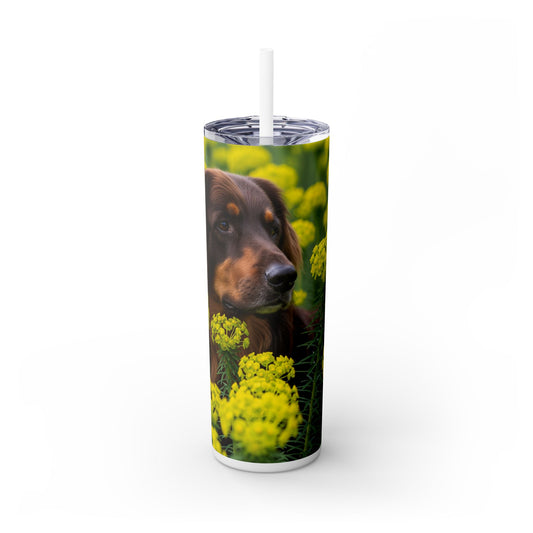 Hovawart Tumbler with Straw, 20oz