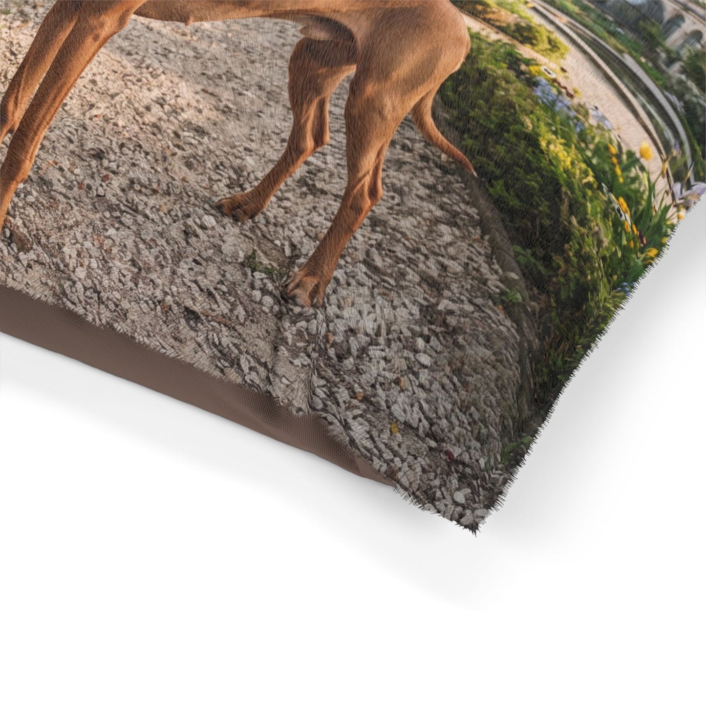 Cirneco dell'Etna Pet Bed