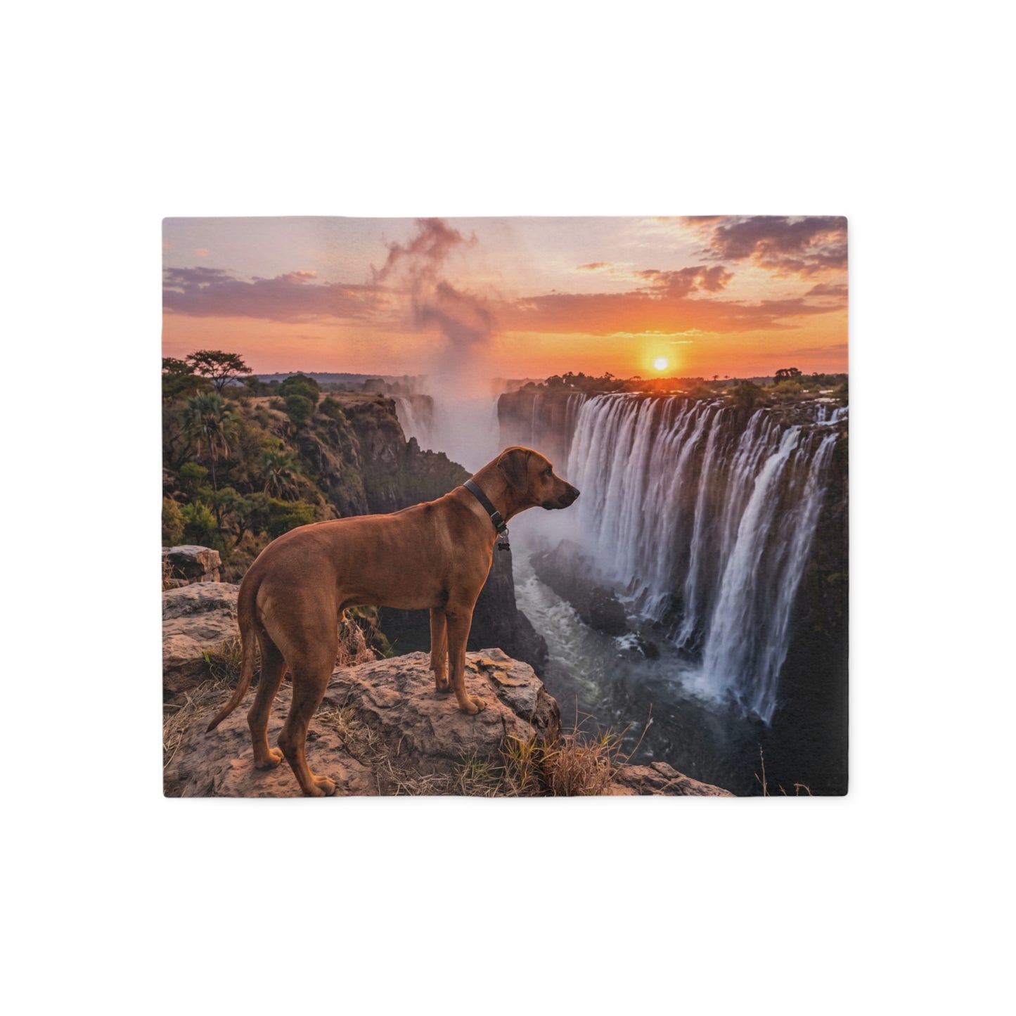 Rhodesian Ridgeback Blanket