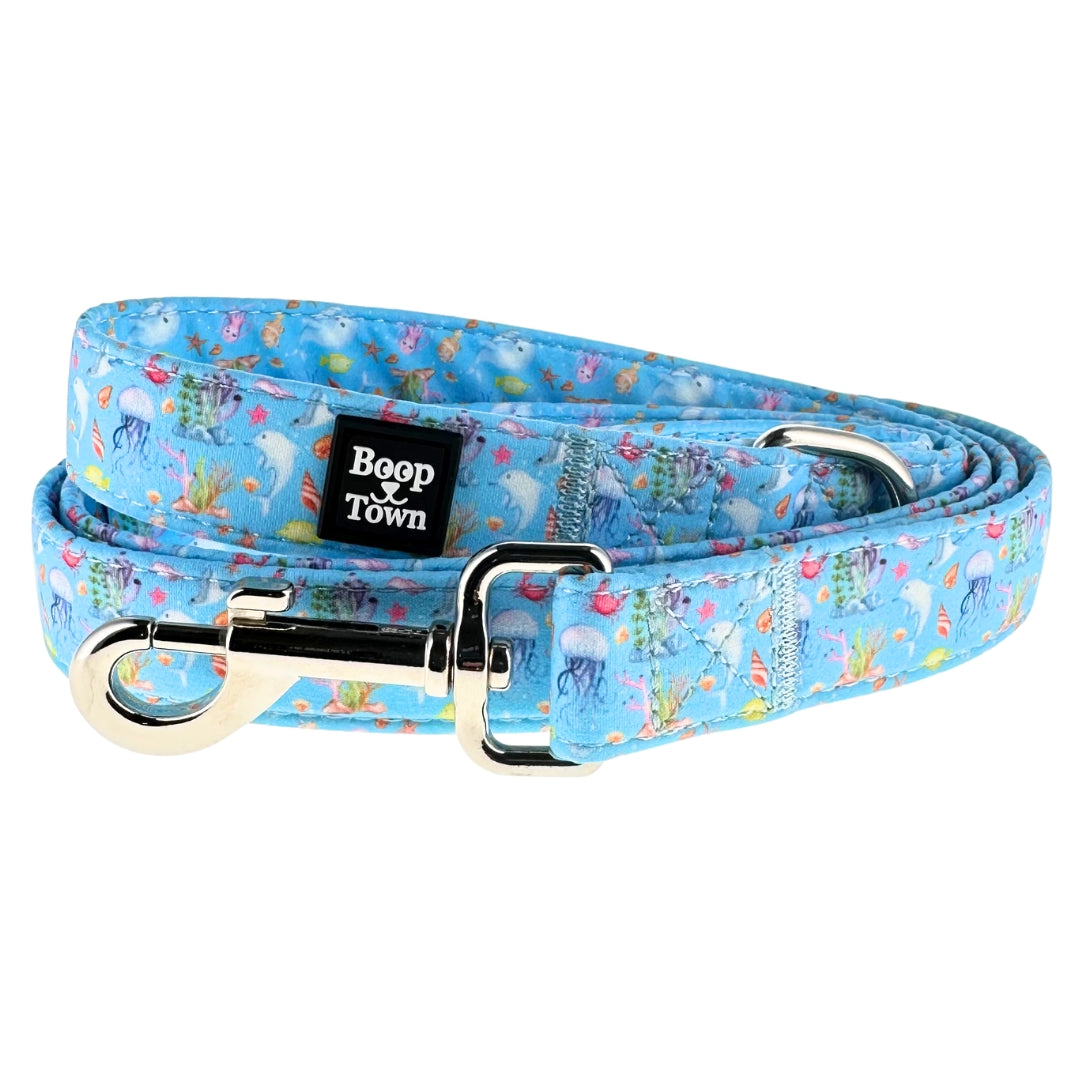 laisses pour chiens