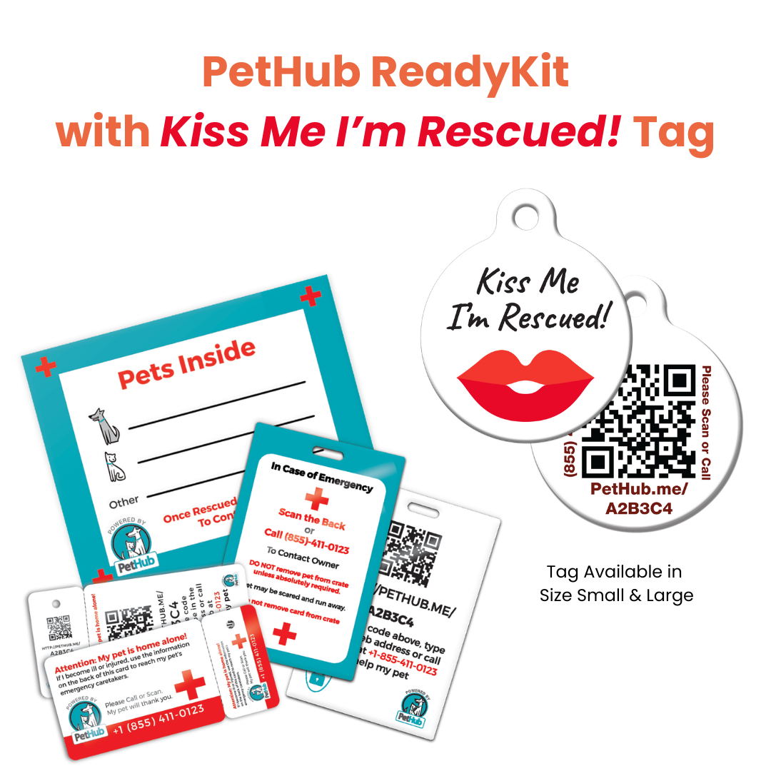 Kit completo de identificación de mascotas QR de PetHub: kit de emergencia completo