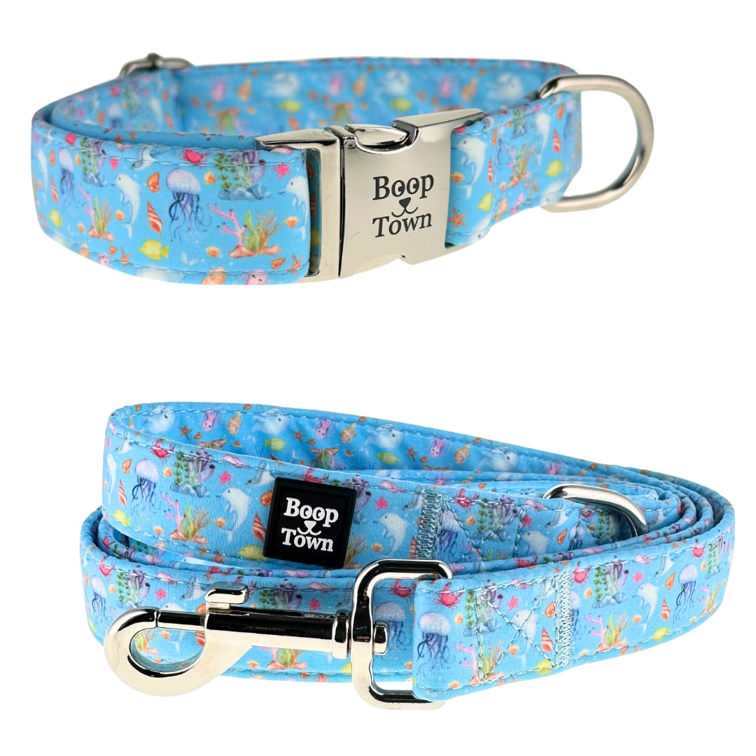 Ensembles collier et laisse pour chien