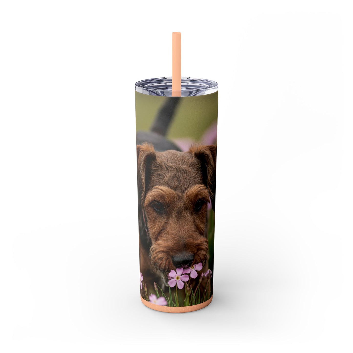 Gobelet isotherme Cesky Terrier avec paille, 590 ml