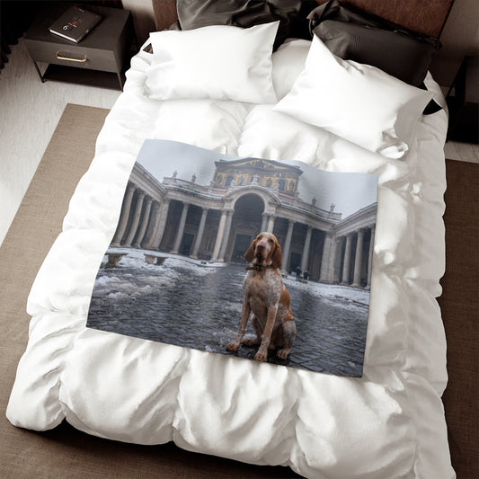 Bracco Italiano Blanket