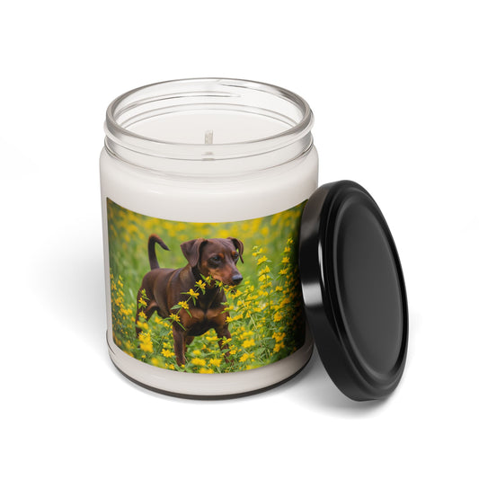 German Pinscher- Scented Soy Candle, 9oz
