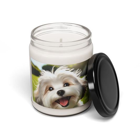 Havamalt- Scented Soy Candle, 9oz