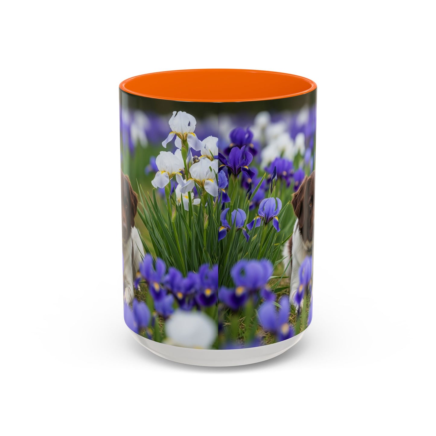 Mug Stabyhouns Accent - Cadeau idéal pour les amoureux des chiens