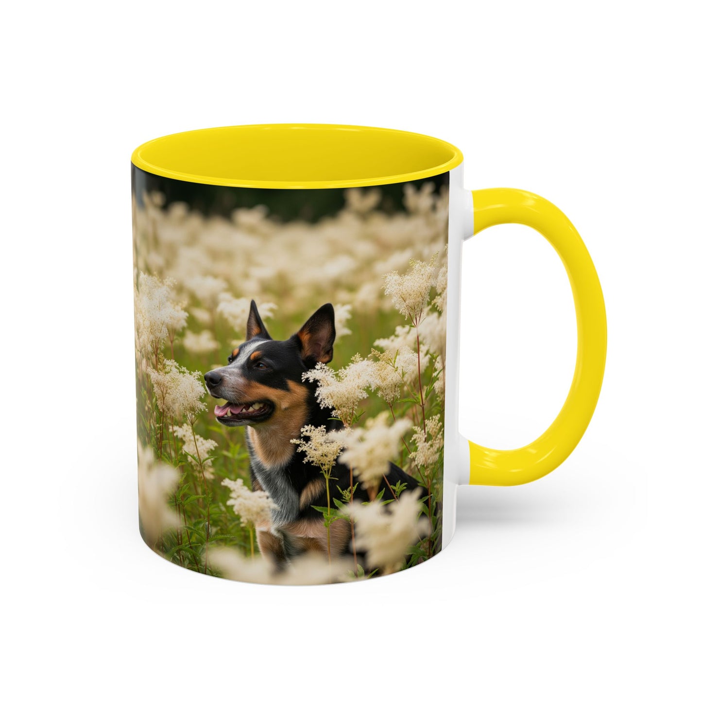 Lancashire Heeler Accent Mug – Ceramic Coffee Cup