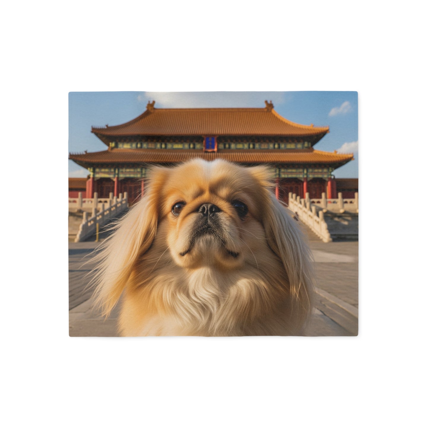 Pekingese Blanket