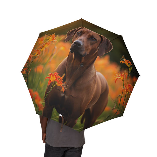 Rhodesian Ridgeback Semi-Automatic Foldable Umbrella