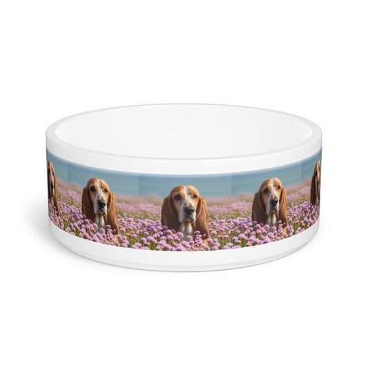 Basset Fauve de Bretagne Pet Bowl