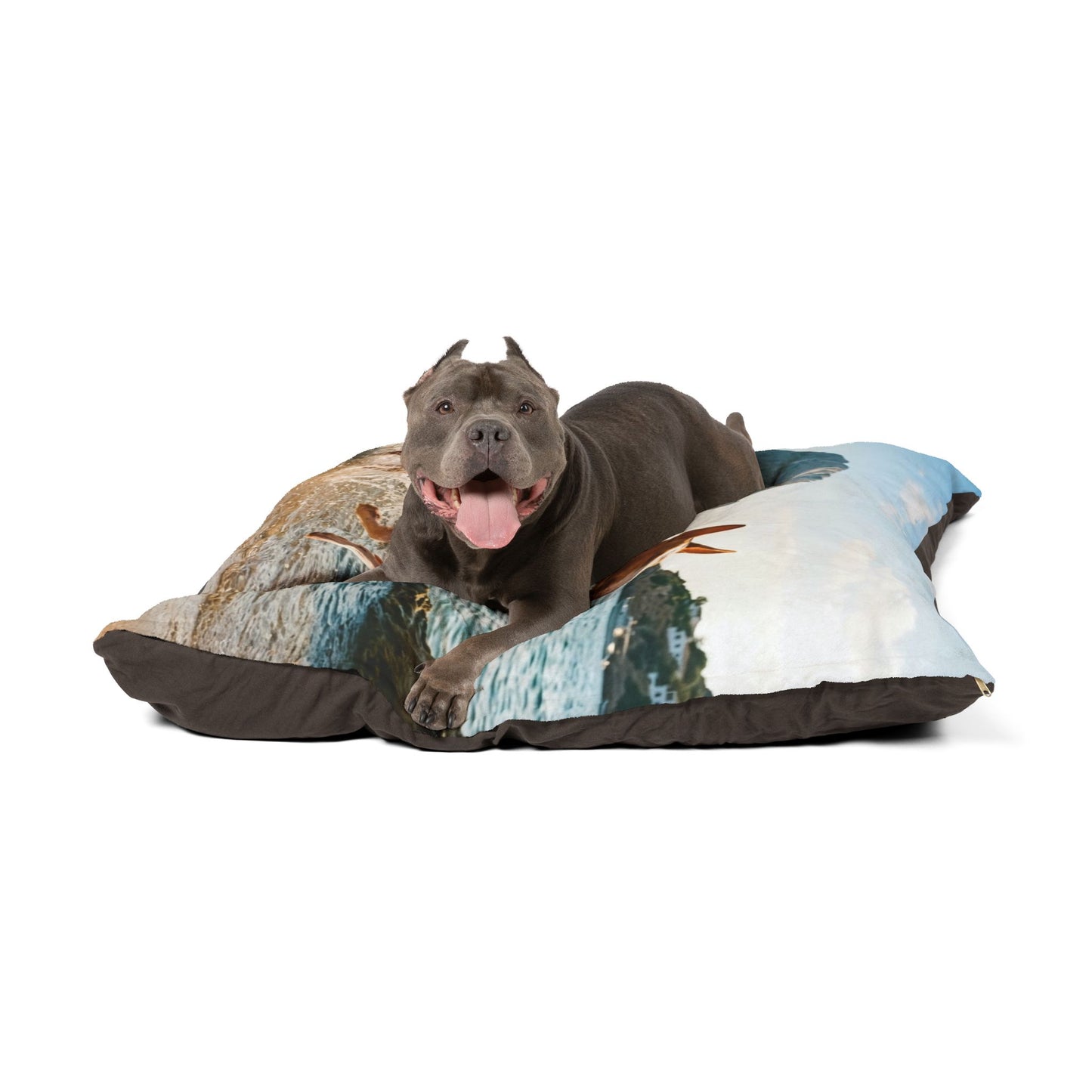 Ibizan Hound Pet Bed