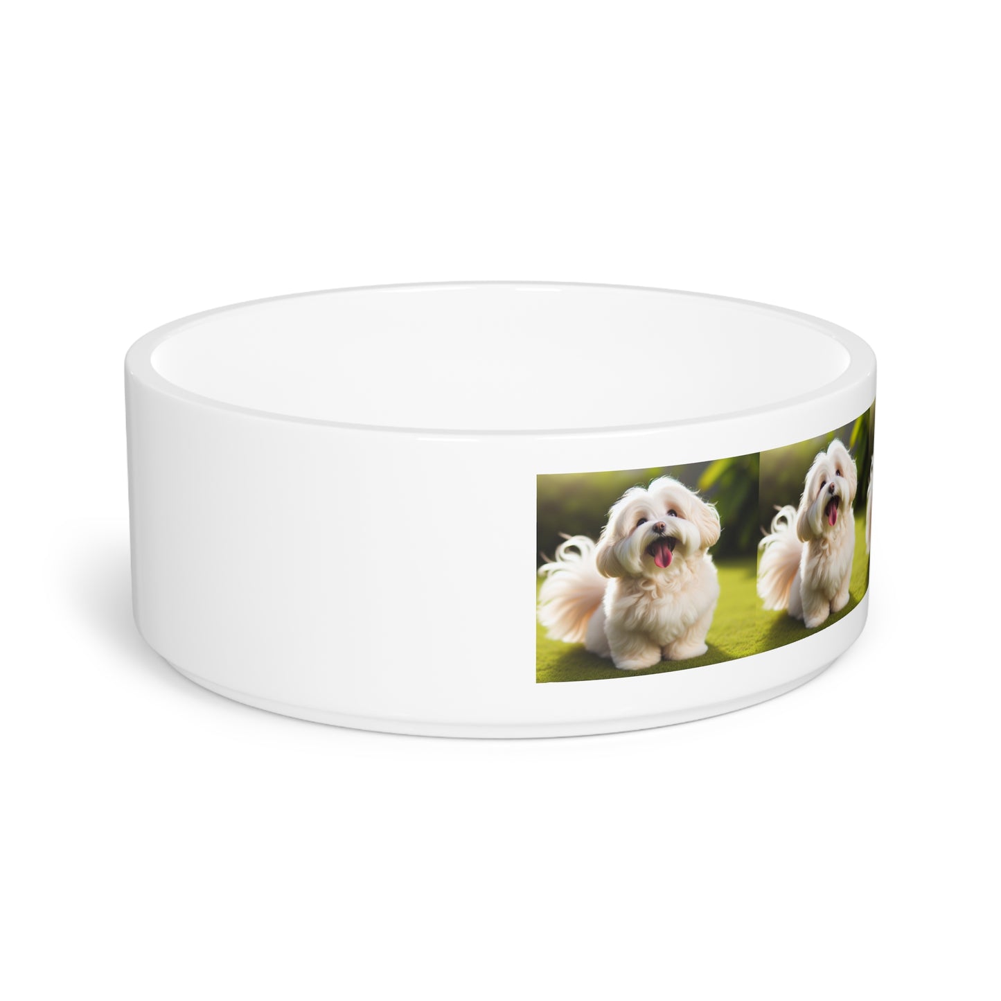 Havanese Pet Bowl