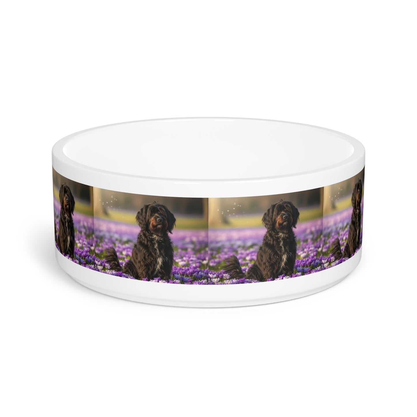 Gamelle pour animaux Schapendoes