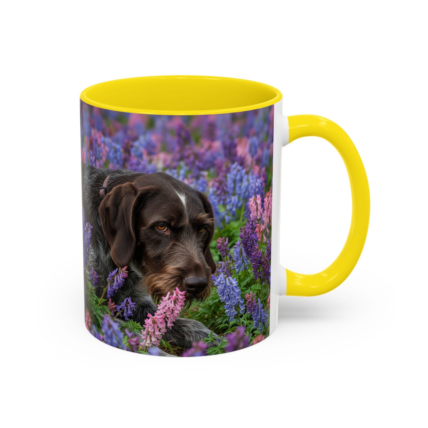 Wirehaired Slovakian Pointer Accent Coffee Mug - Perfect Gift for Dog Lovers