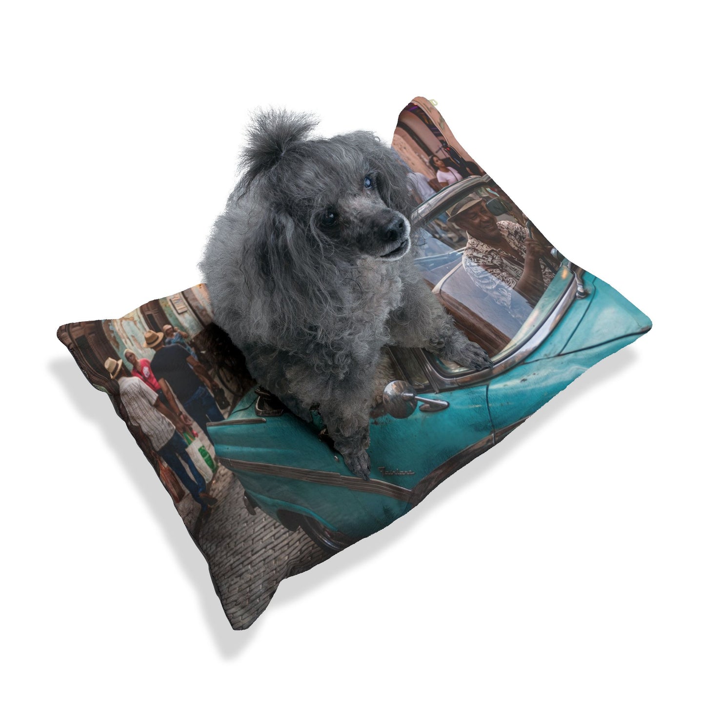 Havanese Pet Bed