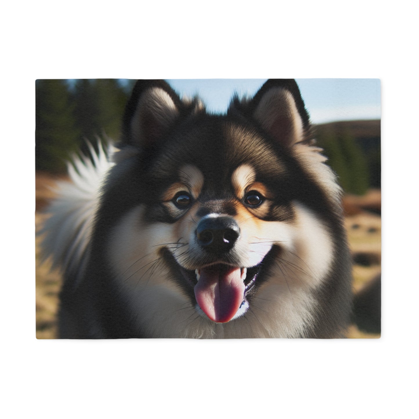 Norwegian Buhund Sweatshirt Blanket