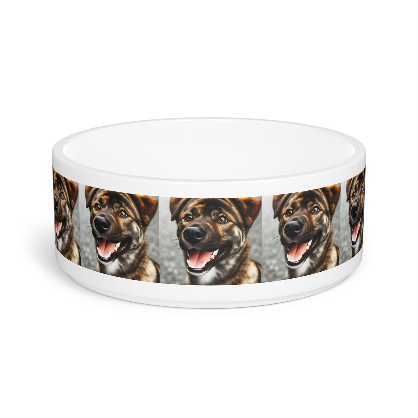 Ceramic Pet Bowl – 16 oz Dog Feeding Bowl