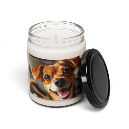 Bougie parfumée Chiweenie à la cire de soja, 255 g 