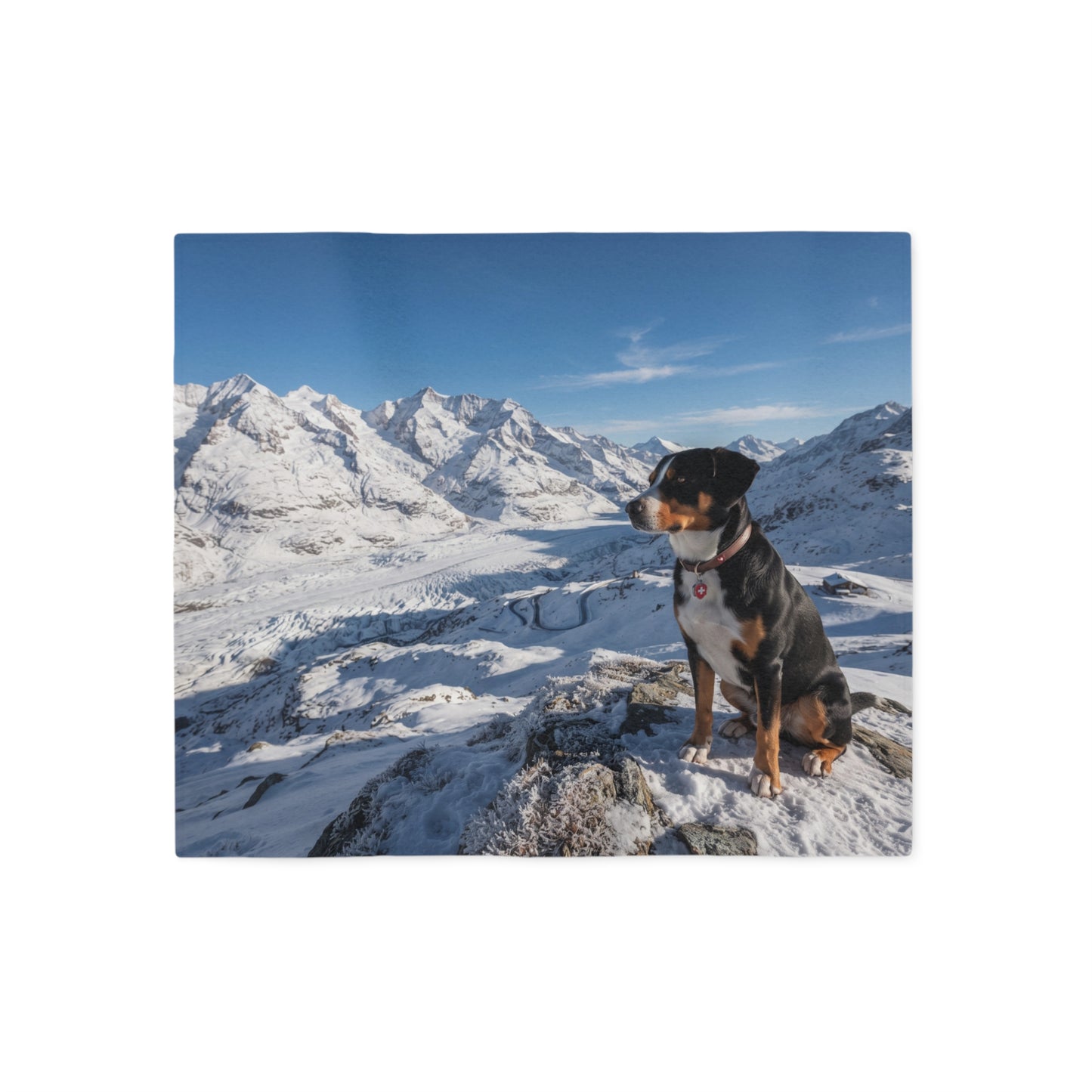 Entlebucher Mountain Dog Blanket
